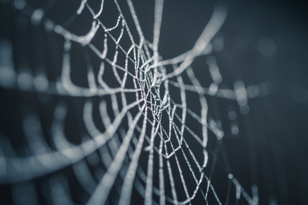 web