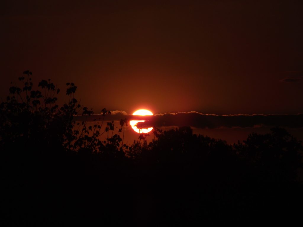 落ちていく夕日